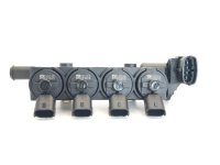 Landirenzo OEM Rail 4 Zylinder (Schwarz) mit Sensor 3.5 Bar